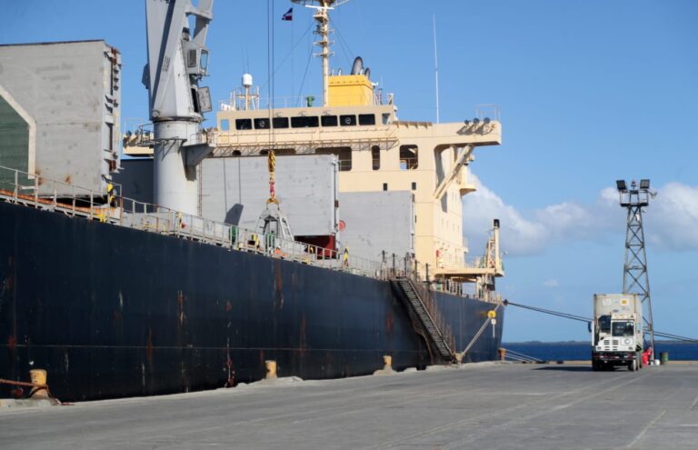 <strong>RD registra un incremento de 20 por ciento en llegada de cruceristas en comparación con el 2019</strong>